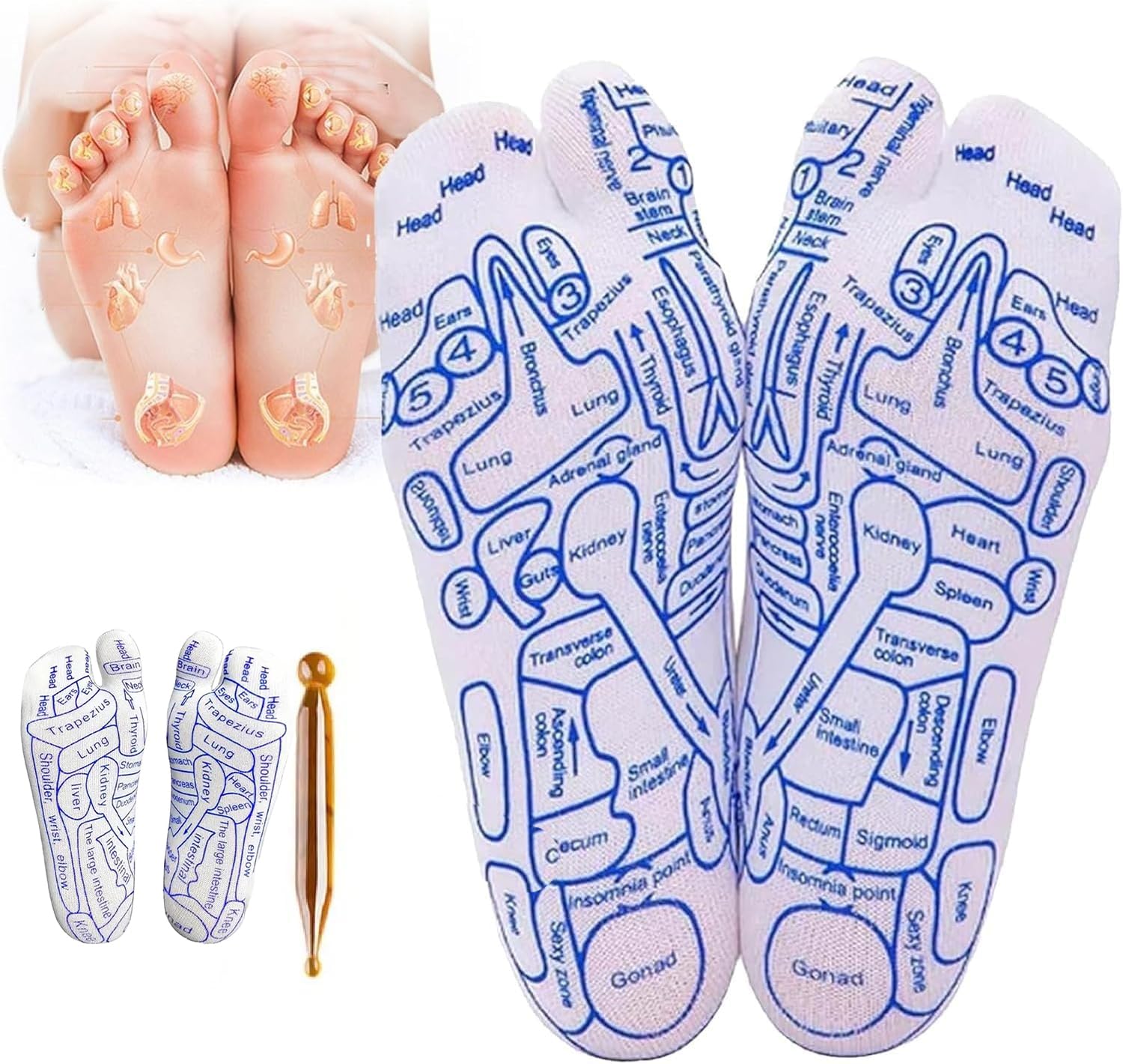 KANISYA Acupressure Reflexology Socks With Massage Stick For Women And Men, Printed Reflexology Chart of Both Sole, Physiotherapy Socks With Massage Tools Foot Acupressure Point Socks (B0D26BC7GK) Amazon Price History, Amazon Price Tracker