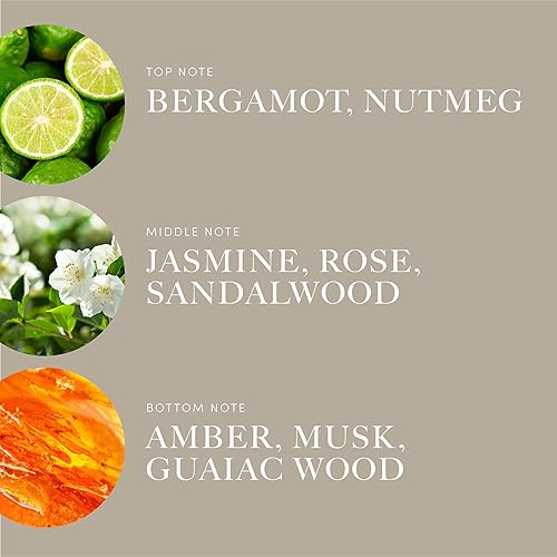 Miniatura 121 de Aroma360 Dream On - Mezcla de aceites aromáticos – 16.9 fl oz – Aceite difusor de aromaterapia perfumado con té blanco sereno, aloe vera curativo