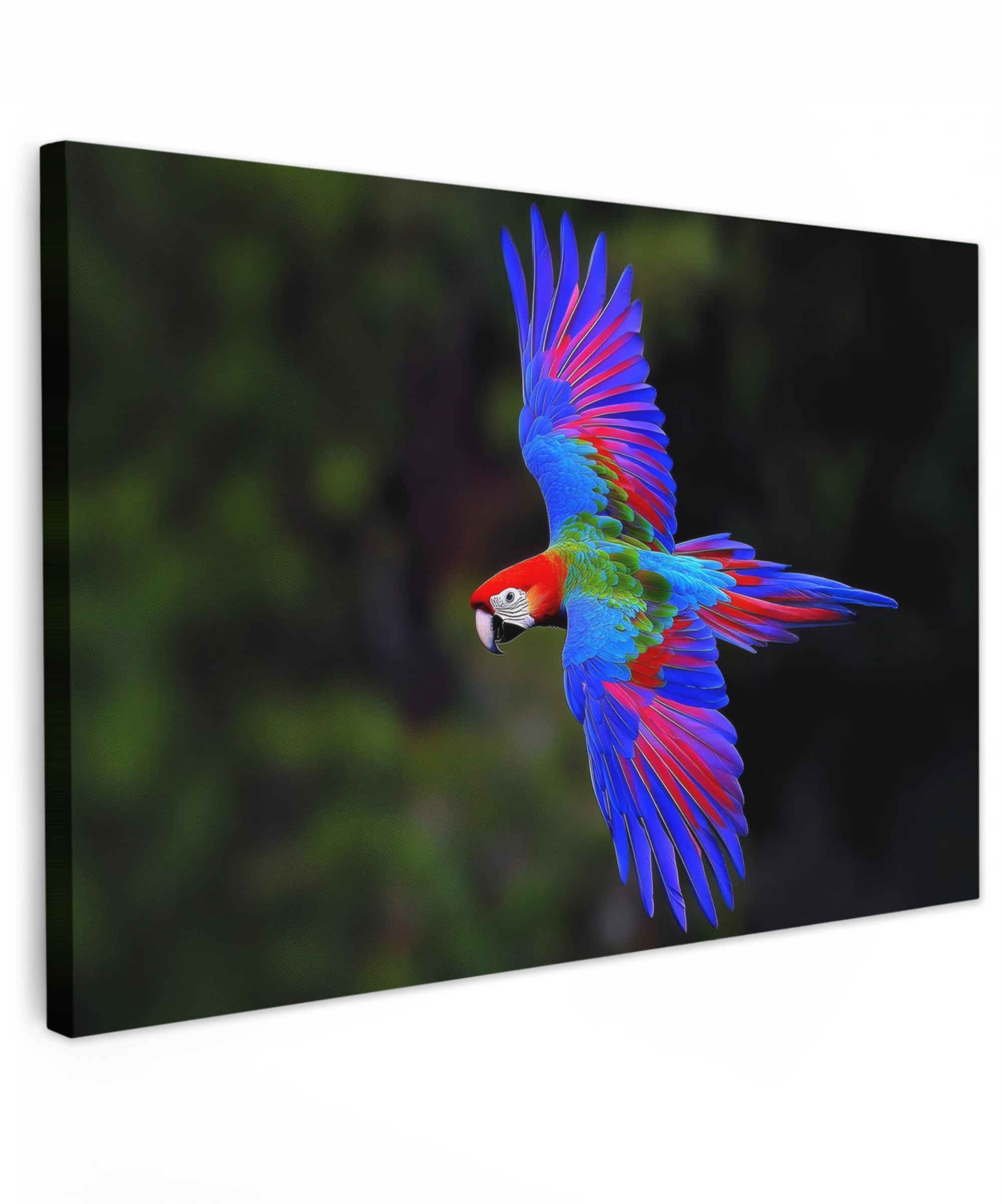 MuchoWow© Canvas Wall Art 12"x8" / 30x20 cm Decor Prints for Living Room Decorative Canvases Hall Artwork Bright - Parrot - Forest - Wings