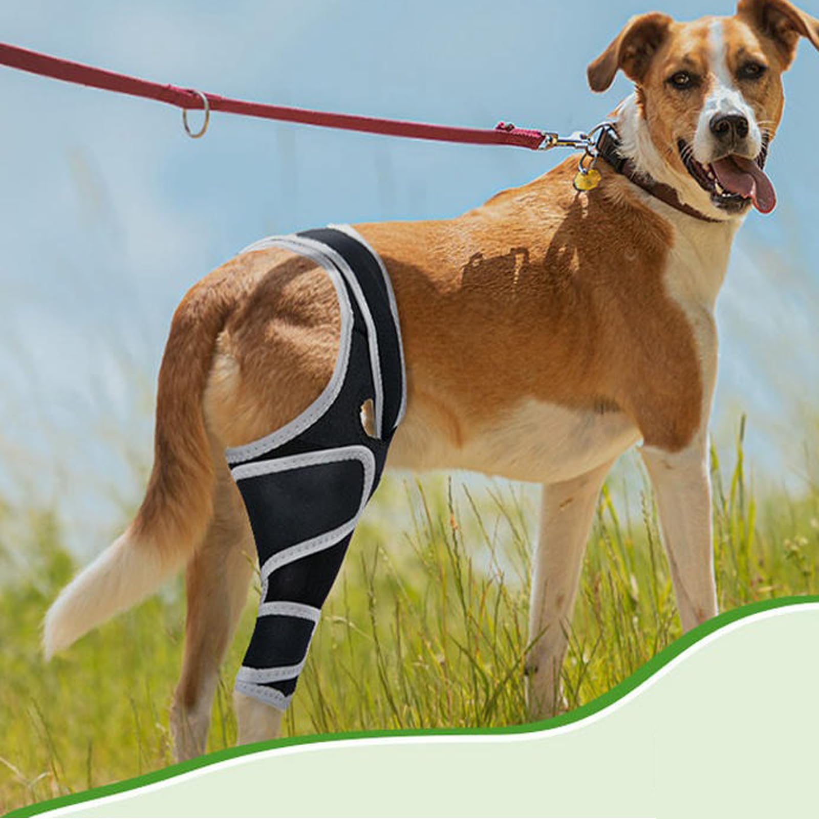 Hunde-Schulterbandage - Atmungsaktive und abriebfeste Ellbogenschützer für Hunde, verhindert Lecken und bietet Unterstützung