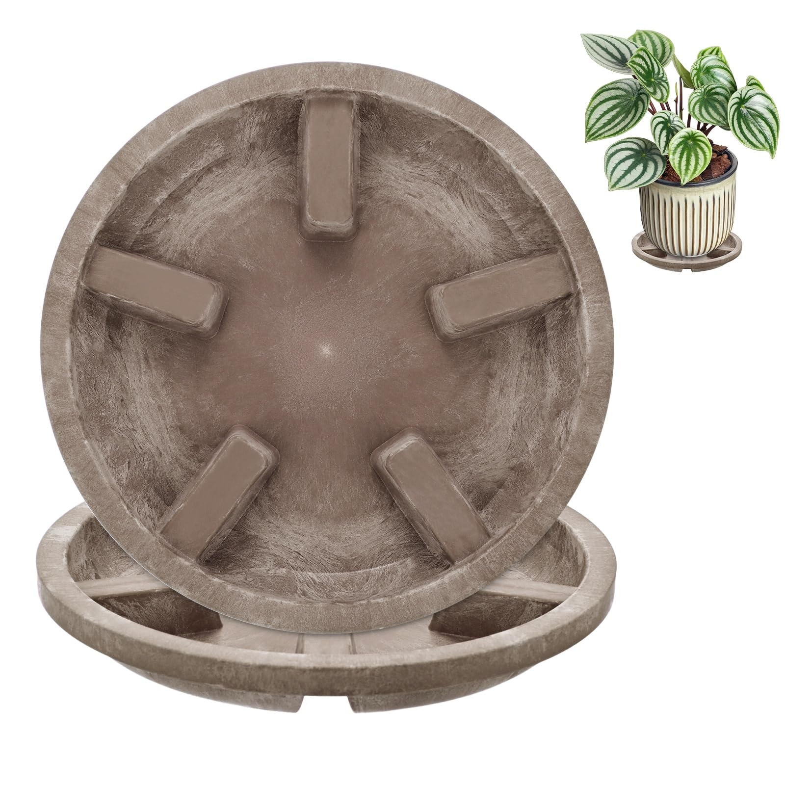 M METERXITY 2-Pack Plant Saucers 6 inch OD Anti-Rot Root Resin, Coffee