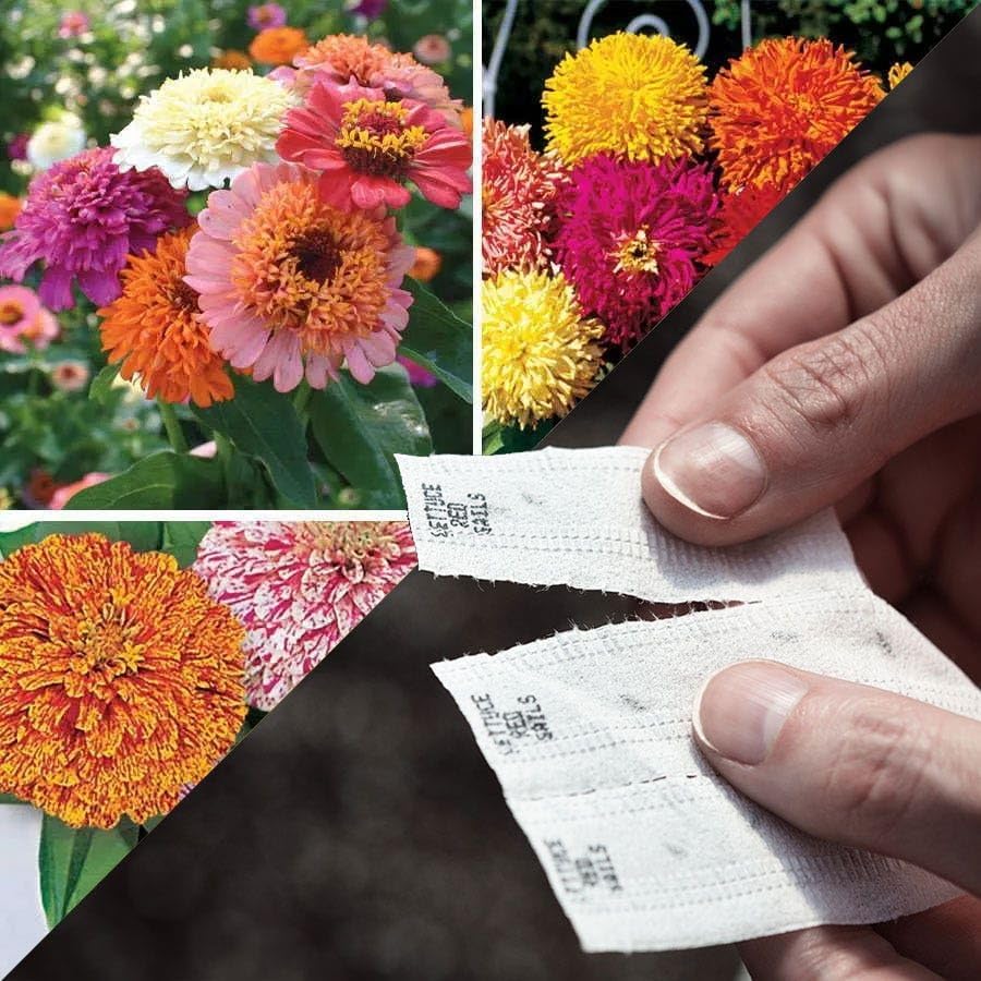 Park Seed Sow Effortless Collection Seed Tape – Zinnia Collection...
