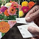 Park Seed Sow Effortless Collection Seed Tape – Zinnia...