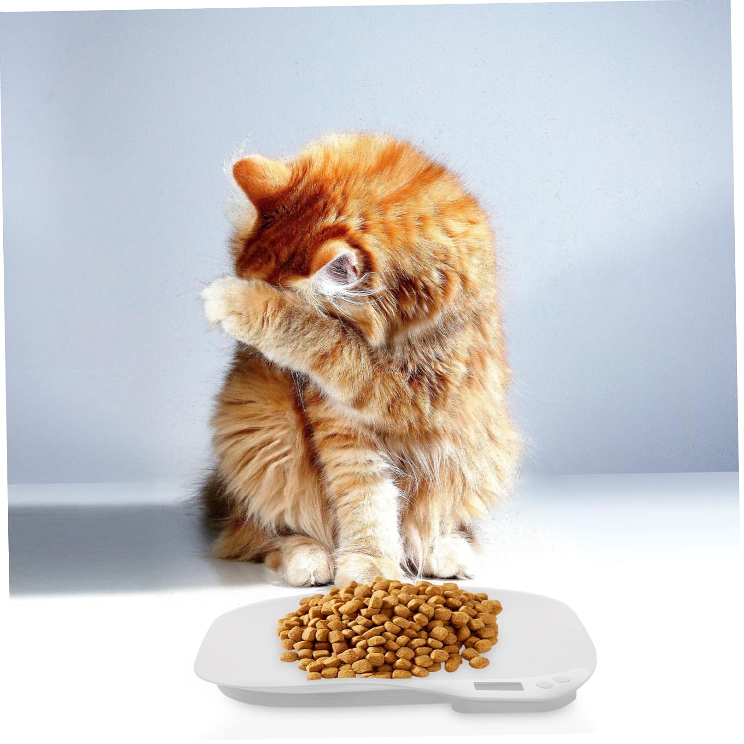 POPETPOP Pet Food Scale Digital Kitchen Scale Large Display for Dogs Cats Puppies and Kitten Accurate Weighing for Pet Care