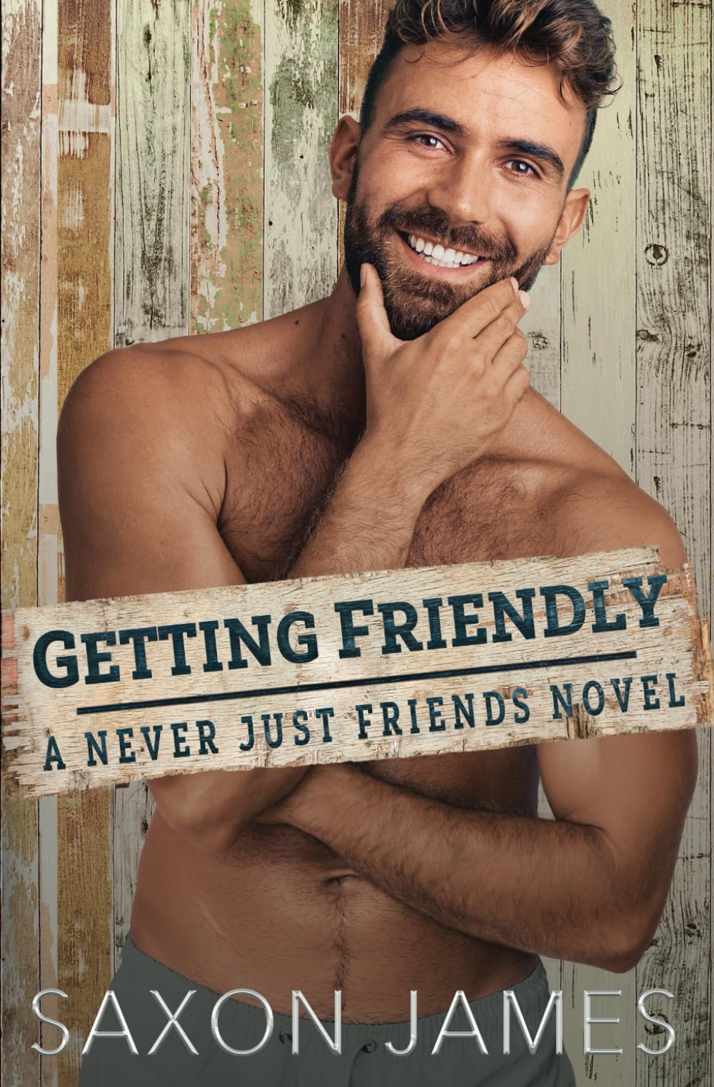 Getting Friendly: 3 (Never Just Friends)
