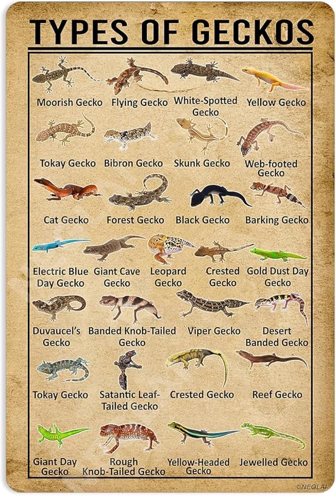 XingFox The Type Of Geckos Knowledge Metal Signs Poster, Vintage Decorations Wall Art Decor 8x12 Inch