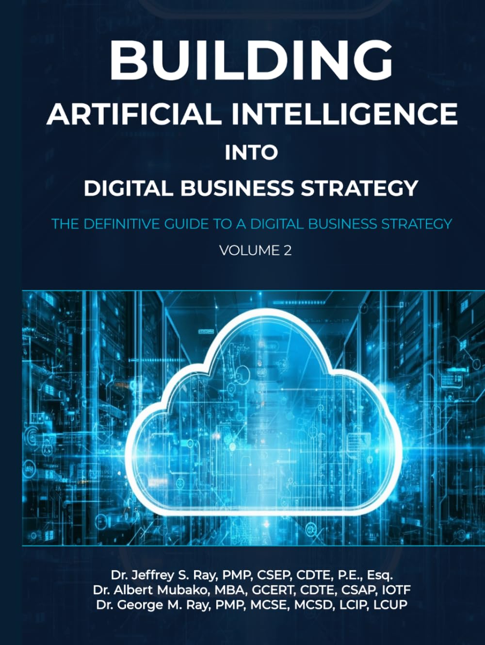 Building Artificial Intelligence into Digital Business Strategy: The Definitive Guide to a Digital Business Strategy, Volume 2