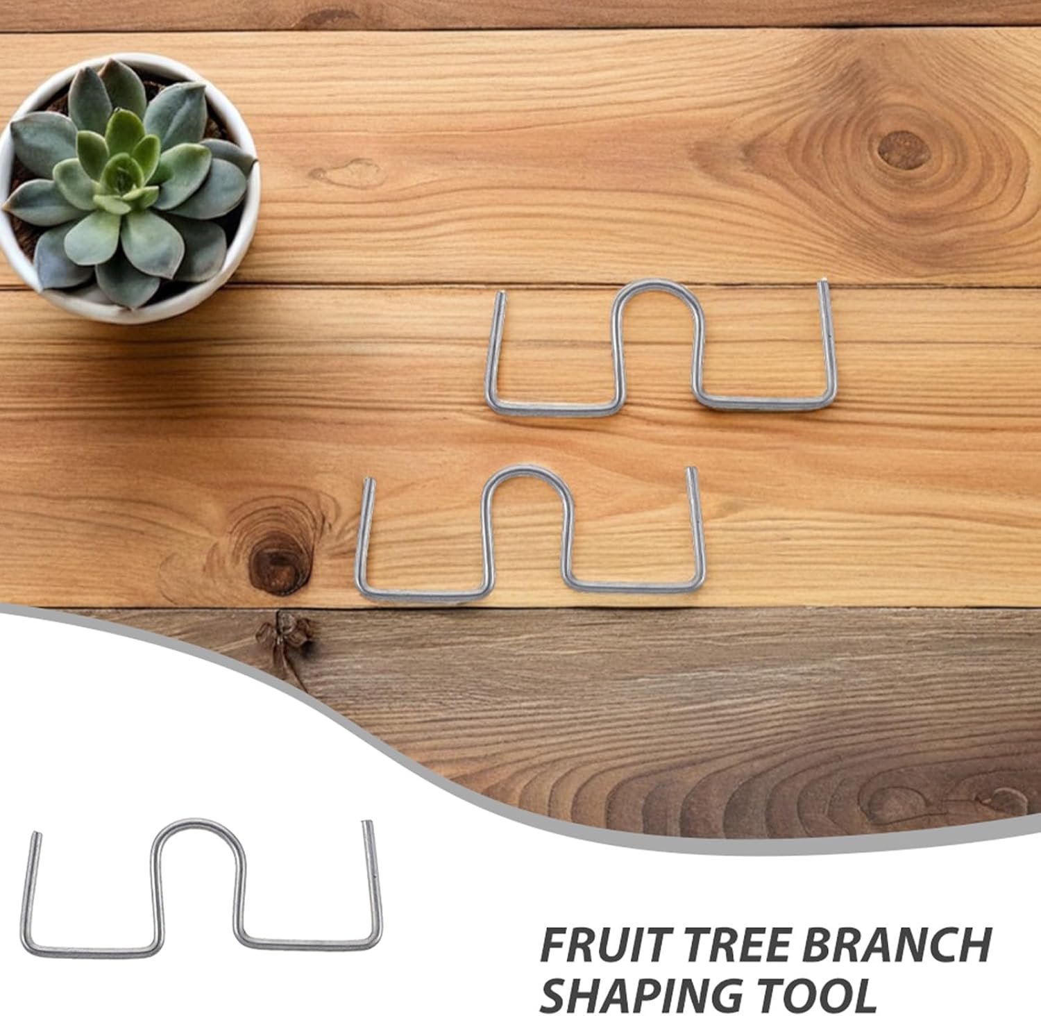 Hemoton 40pcs Tree Branch Training Clips Bending Tool Branch Puller Spreader Support for Gardening and Orchard Management Supply