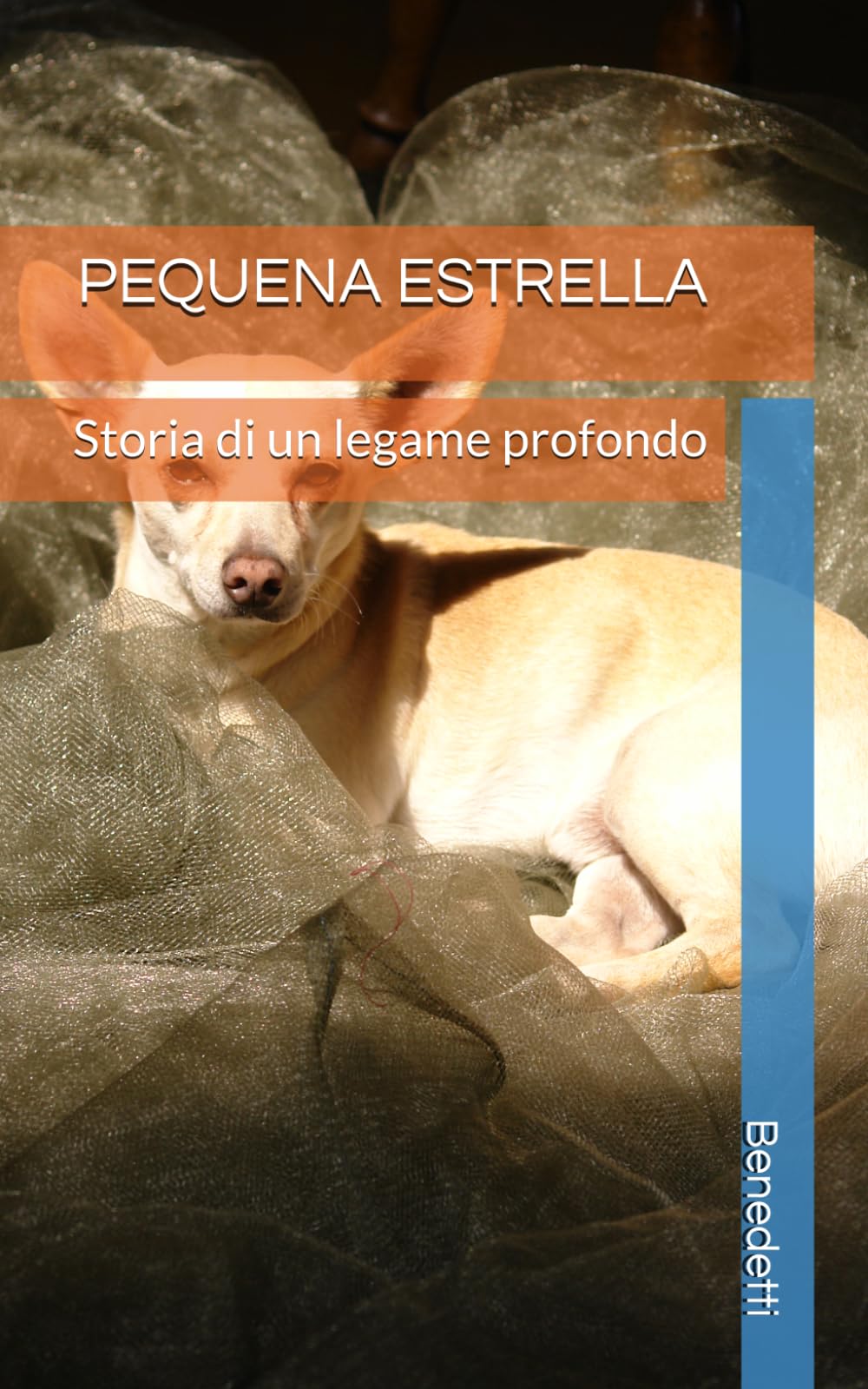 PEQUENA ESTRELLA: Storia di un legame profondo (L Amicizia)