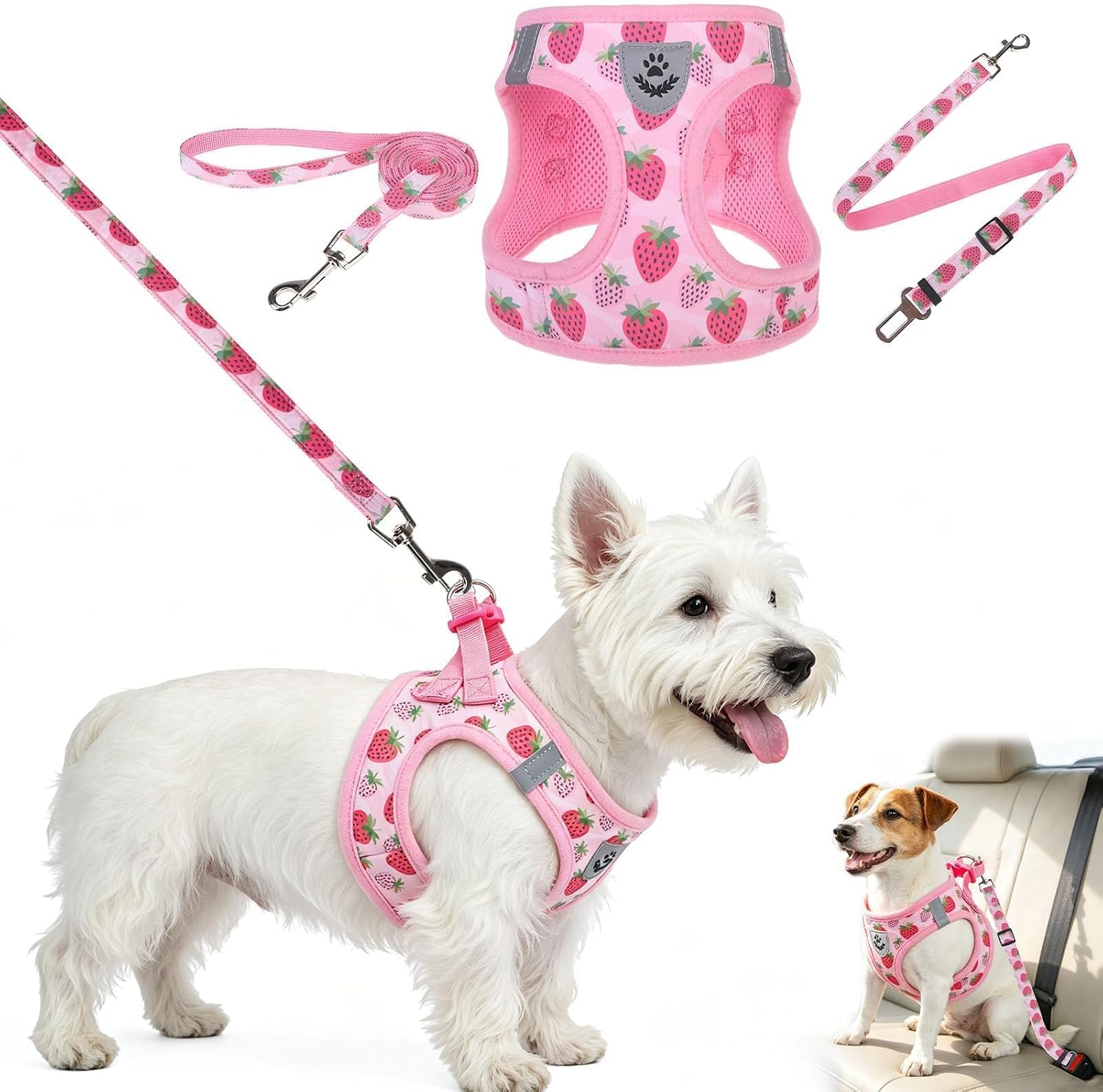 BINGPET Small Dog Harness with Leash and Car Seatbelt, Step-in Puppy Vest S