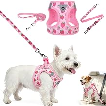 BINGPET Small Dog Harness with Leash and Car Seatbelt, Step-in Puppy Vest S