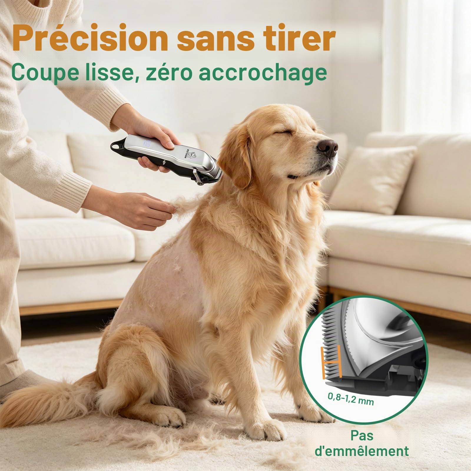 Tondeuse Chien Professionnelle Tranchant 7 000 tr/min Tondeuse de Toilettage Sans Fil Étanche IPX7 avec Écran LED Faible Bruit et Charge USB et 6 Sabots pour Poils Longs Frisés et Épais