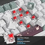 75 Pourcentage de joints de clavier avec des tampons d'absorption du son, 82-Key Compact filaire RGB Clavier de jeu mécanique Hot-Swap Socket pour Mac/Win, Mist