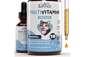 Cat Multivitamin: Essential Vitamins and Minerals for Indoor Cats