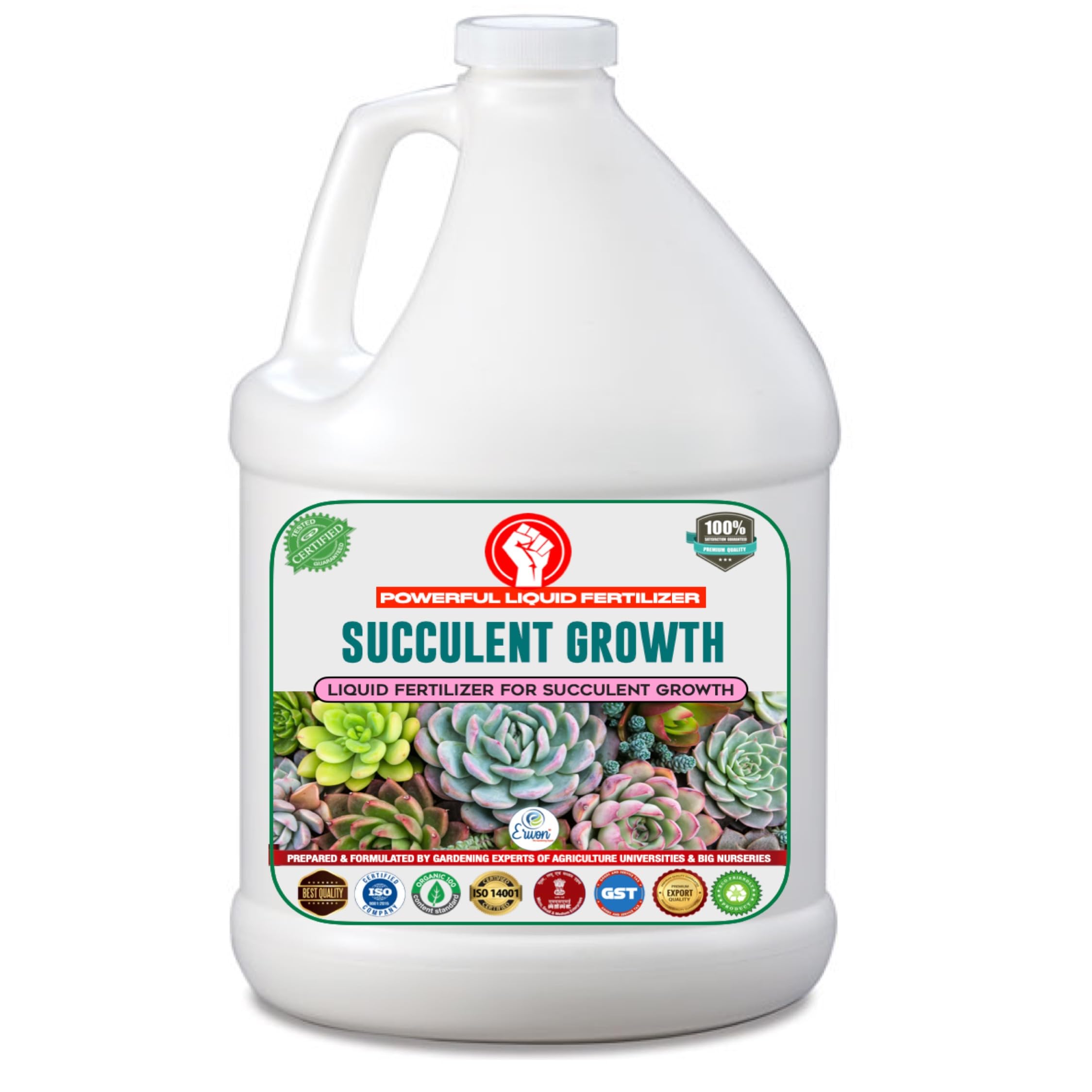 Erwon® Succulent Growth, Premium Essential Powerful Liquid Fertilizer for for the Best Growth of Succulent Plants with Growth Nutrients and Charged Micro-organism (1000 ml) (B09H25YW25) Amazon Price History, Amazon Price Tracker