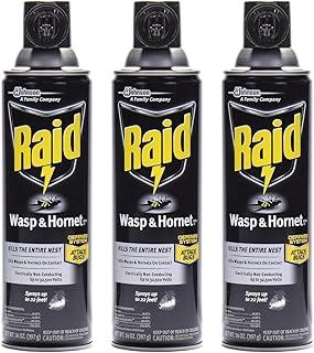 Raid Wasp & Hornet Killer Spray, 14 OZ (Pack
