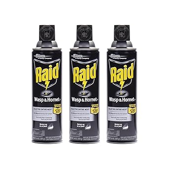 Raid Wasp and Hornet Killer Spray, 14 ozpack of 3