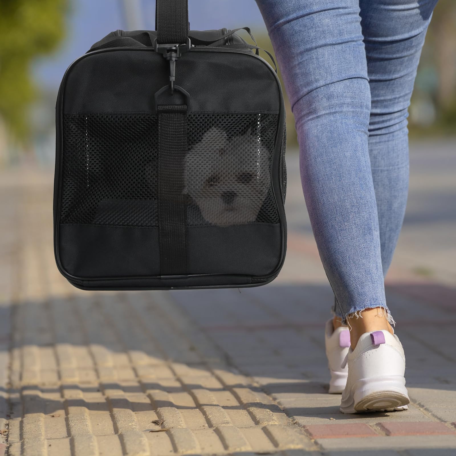Amexo Sac de Transport pour Chat Chien, Caisse Transport Chat Chien Respirant et Pliable avec Coussin en Peluche Amovible Cage Transport pour Chats et Chiens Jusqu'à 10 kg, 44 x 27 x 28 cm (Noir)