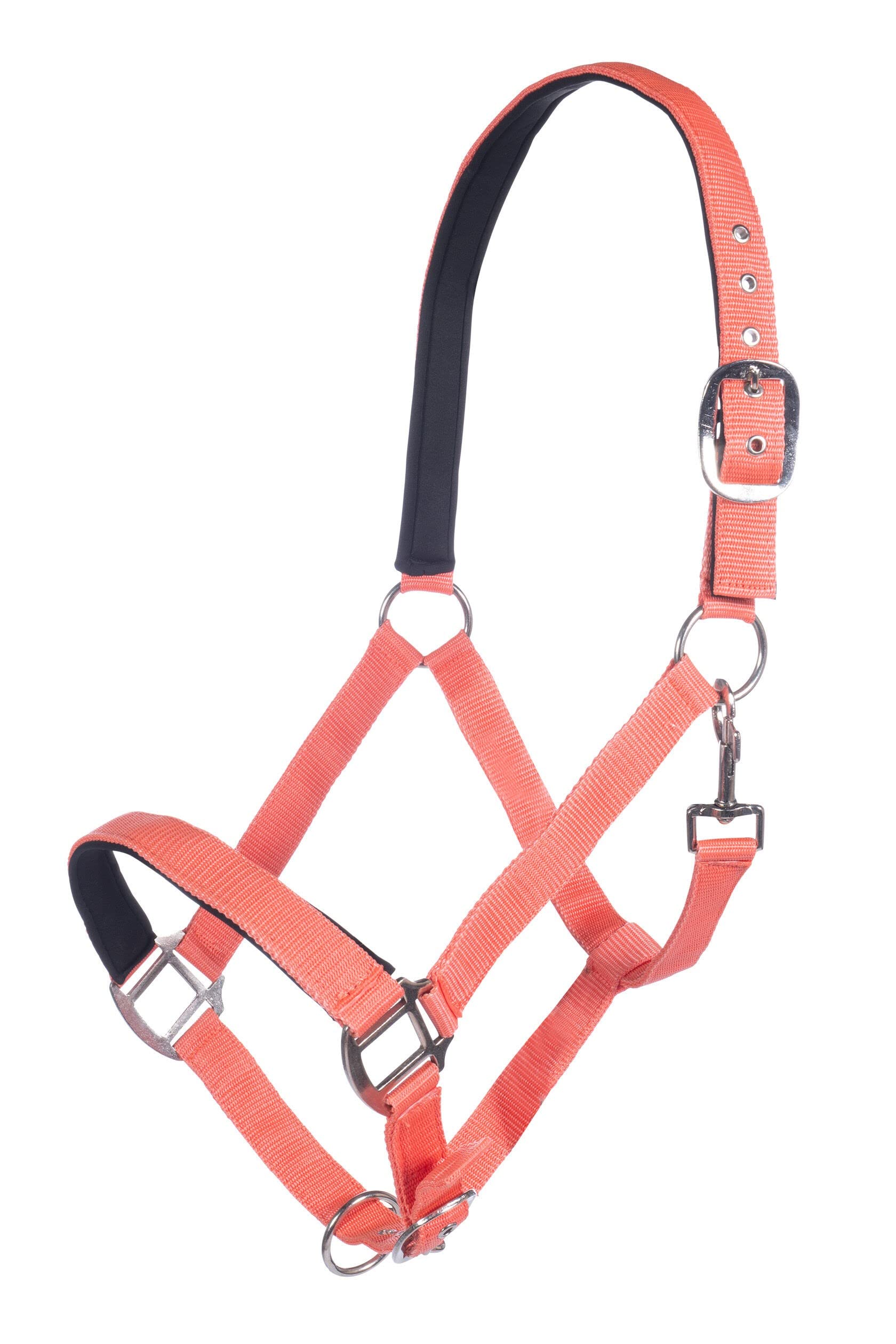 HKM Stallhalfter B5801 Rauchgrün | Warmblut Halfter Mit Edlen Beschlägen