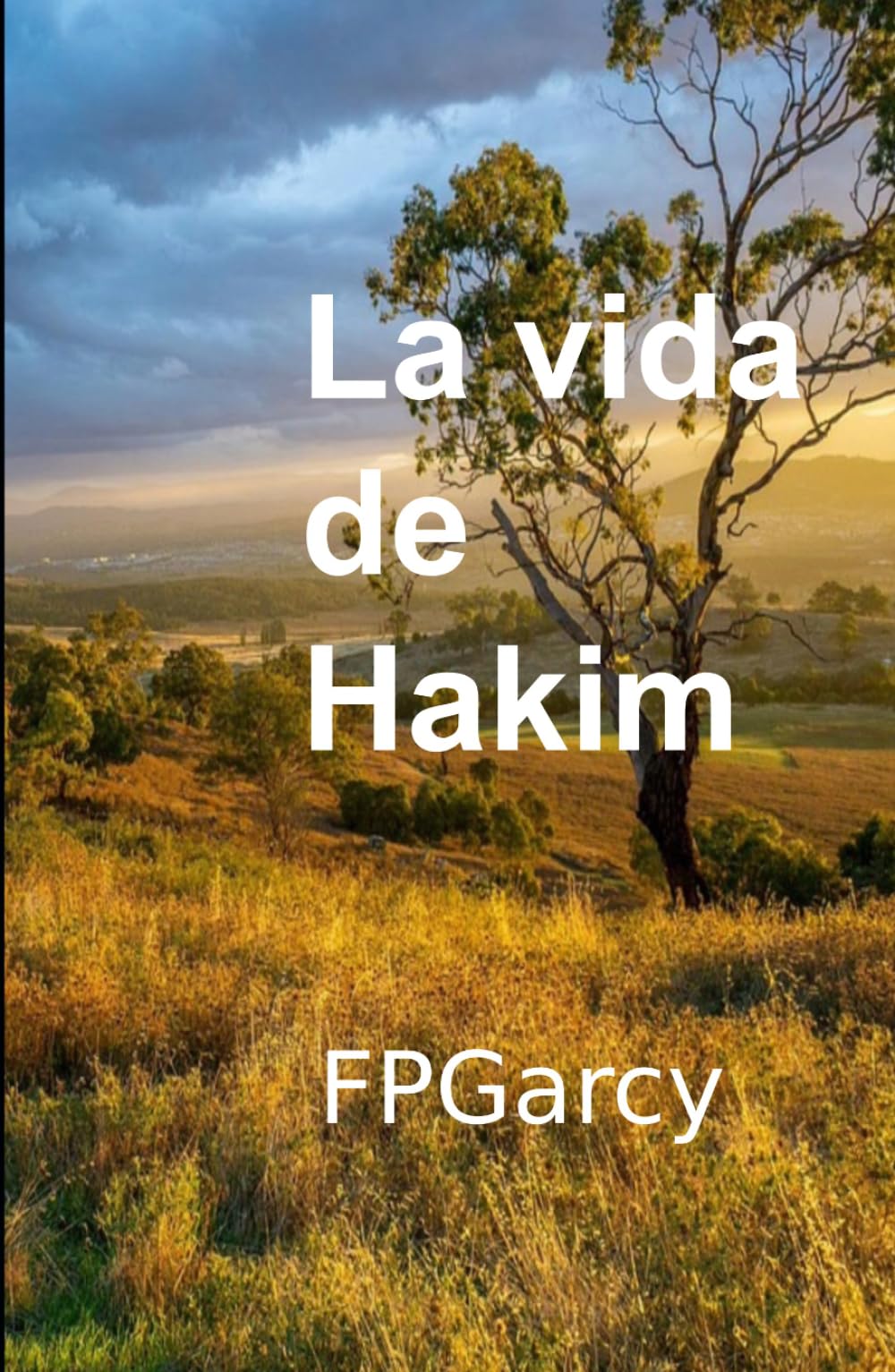 La vida de Hakim: Una novela sobre la dignidad en el silencio