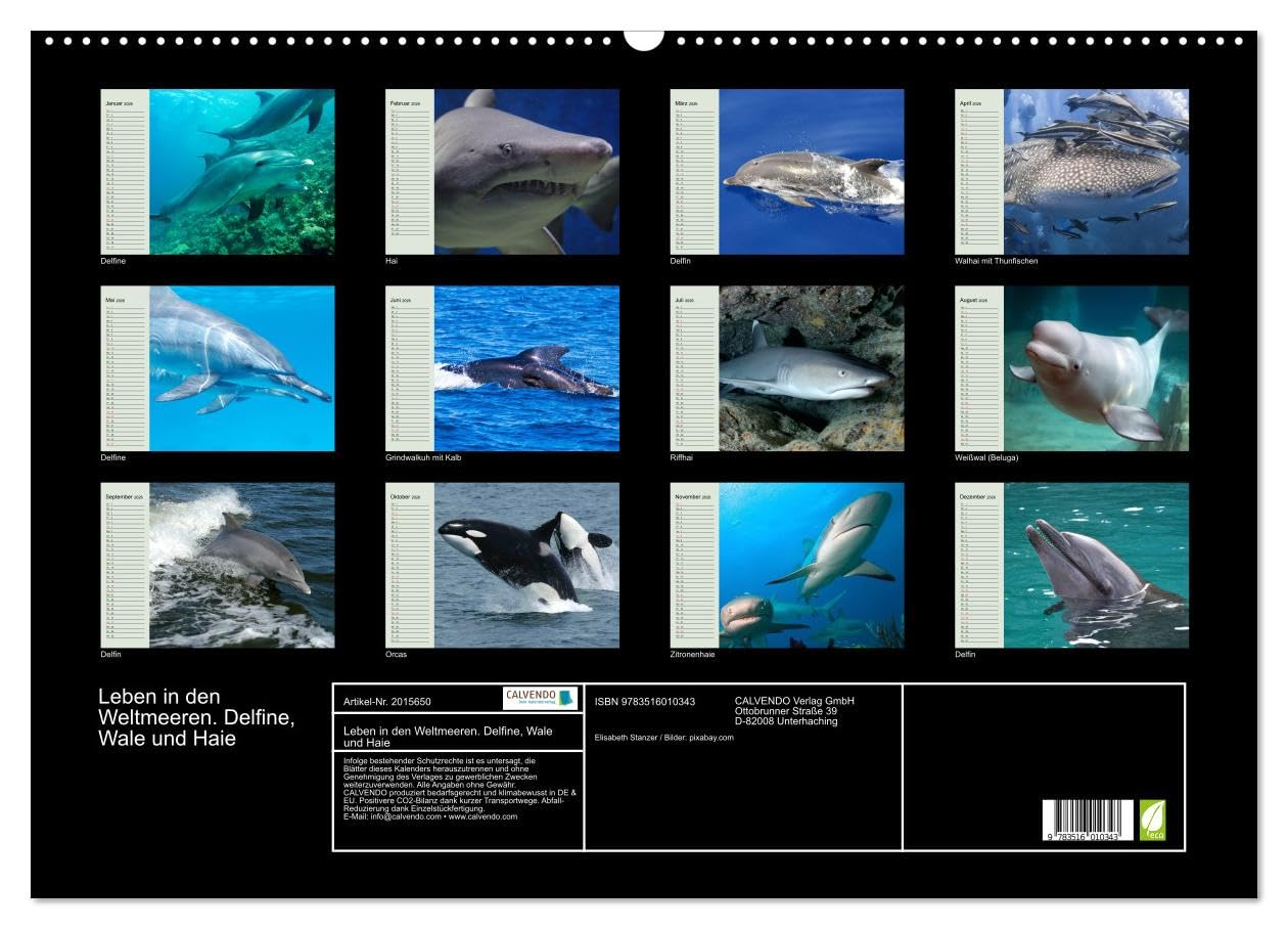 Leben in den Weltmeeren. Delfine, Wale und Haie (Wandkalender 2026 DIN A2 quer), CALVENDO Monatskalender: Gleiten und Leben in den Ozeanen der Welt (CALVENDO Tiere)