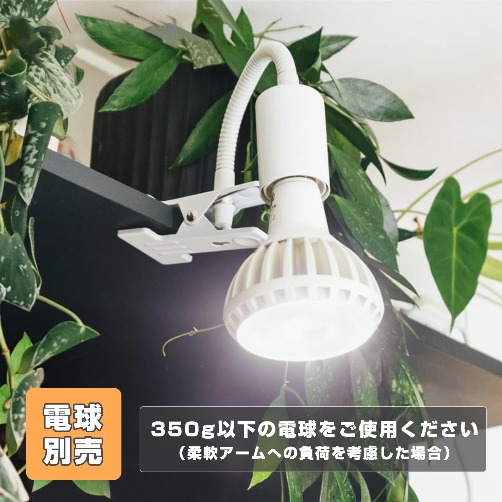 Amazon.co.jp : アセウイ(ASSEUI) クリップライト E26 クリップ