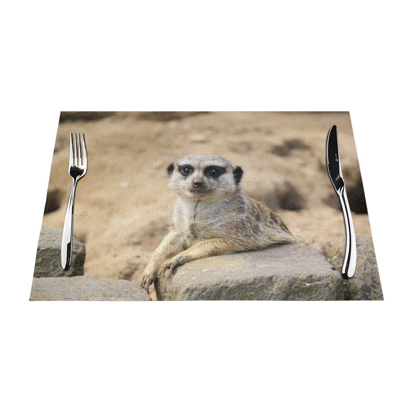 Set de table suricate rectangulaire 30x45cm résistant chaleur pour cuisine