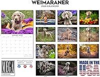 Vista 1313 de Razas de Perros 2017