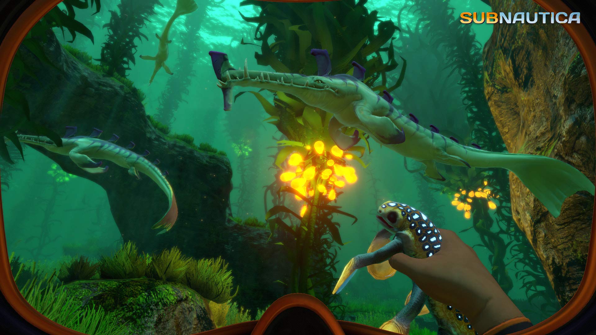 Subnautica [Edizione: Germania]