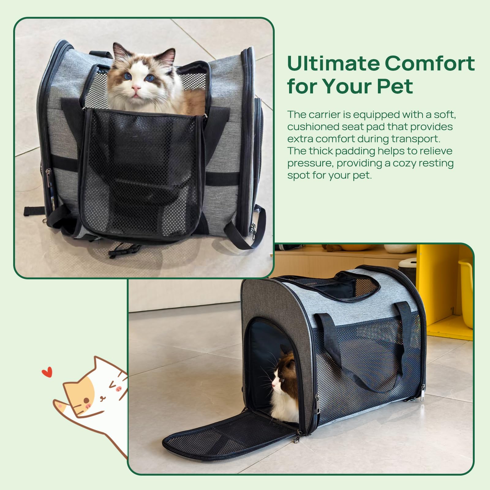 PETCUTE Zaino Trasporto Cane e Cuccioli,Zaino Traspirante per Cani per Animali Domestici,Guinzaglio di Sicurezza,Marsupio per Cani di Piccola Taglia e Gatti,Apertura Regolabile,per Viaggio PETCUTE Zaino Trasporto Cane e Cuccioli,Zaino Traspirante per Cani per Animali Domestici,Guinzaglio di Sicurezza,Marsupio per Cani di Piccola Taglia e Gatti,Apertura Regolabile,per Viaggio