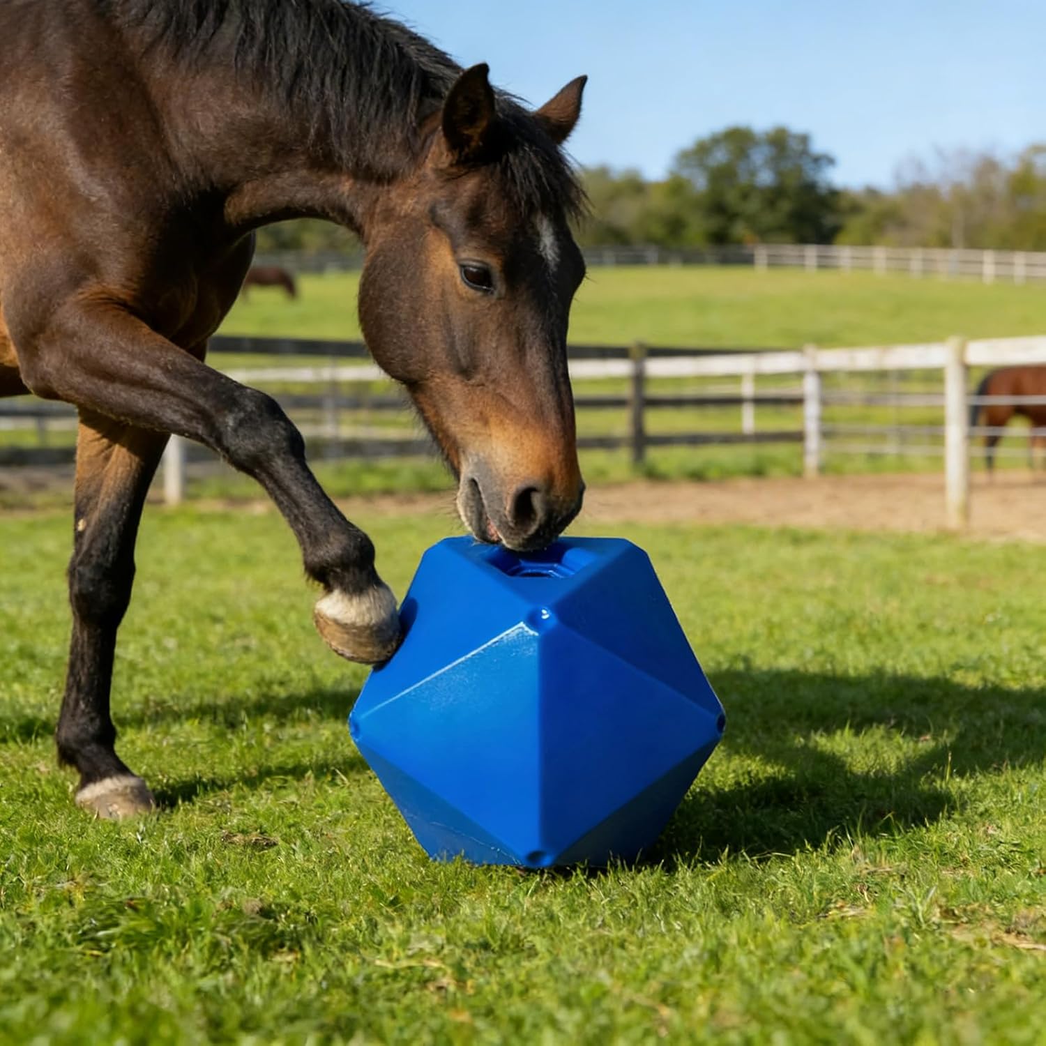9 in / 23 Cm Blue Horse Treat Ball Feeder, Food-Safe Pp Equine Play Ball, Enrichment Toy for Boredom, Stress Relief, Pasture Entertainment