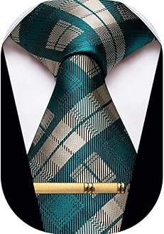 Men's Neckties Striped Tie and Plaid Neckties for Men Woven Silk Tie Gold Tie Clip Set