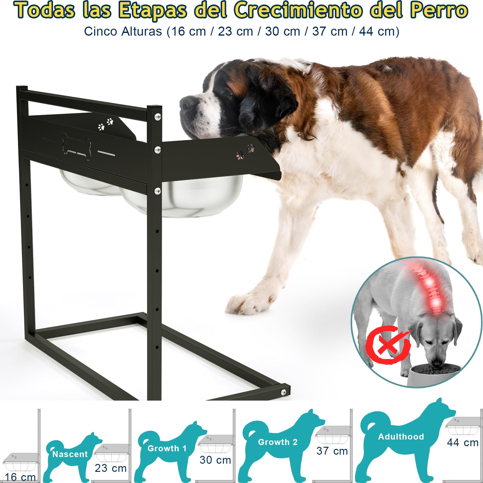 Comedero Elevado para Perros con Cercar de 7cm, Altura Ajustable en 5 Niveles, 2 Recipientes de Acero Inoxidable (3L x 2), Soporte Estable Comederos de Raza Gigante, Grande y Mediano