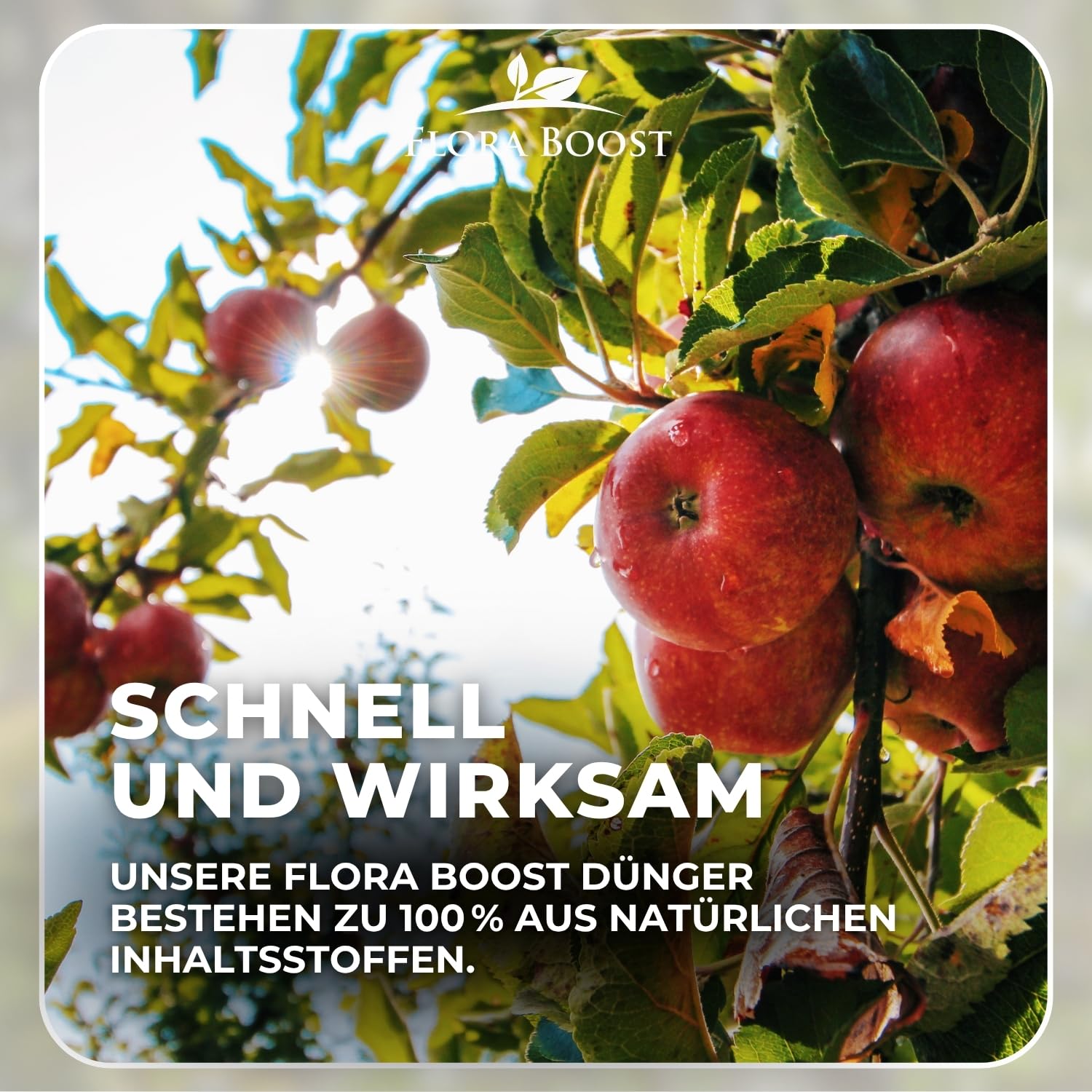 Flora Boost PRO Obstbaum Dünger Langzeitwirkung I NPK 8-4-5 Granulat für Apfel-, Birn-, Kirsch- & Pflaumenbäume I Organisch-mineralischer Baumdünger für gesundes Wachstum & reiche Ernten