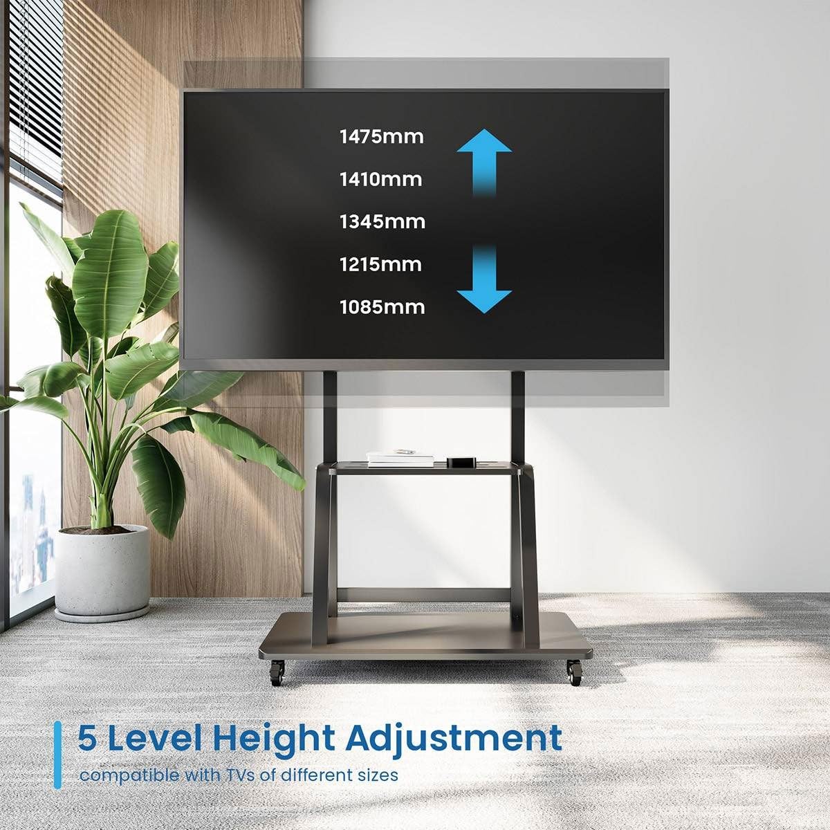 Ewent Premium TV-Ständer aus Stahl, Mobiler Ständer mit Rollen für Plasma-/LED-/LCD-Bildschirme von 55-120 Zoll, Bodenständer für Fernseher bis 150 kg, Höhen- und Breitenverstellbar, mit 2 Ablagen