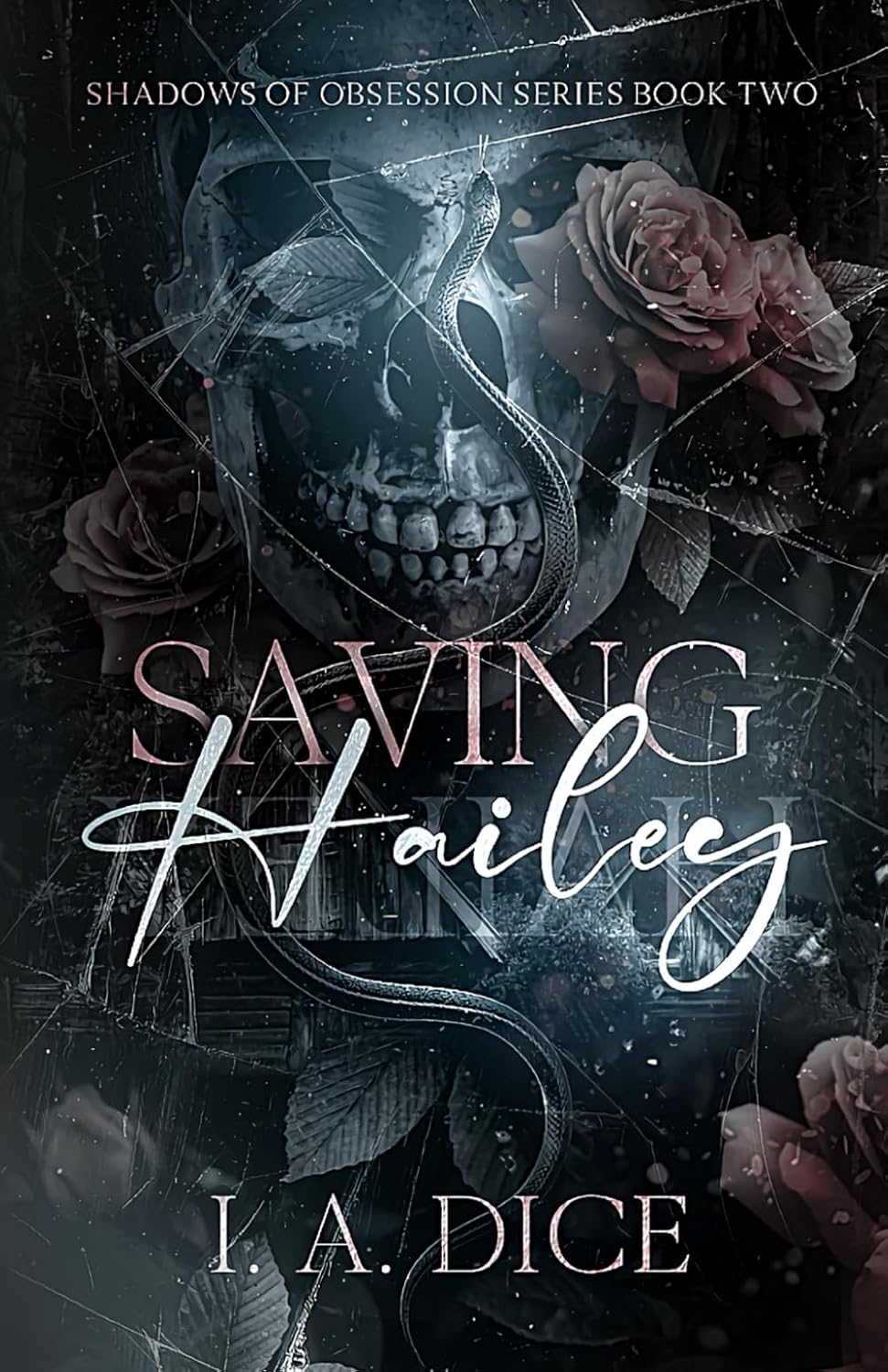 Saving Hailey: 2 (Shadows of Obsession)