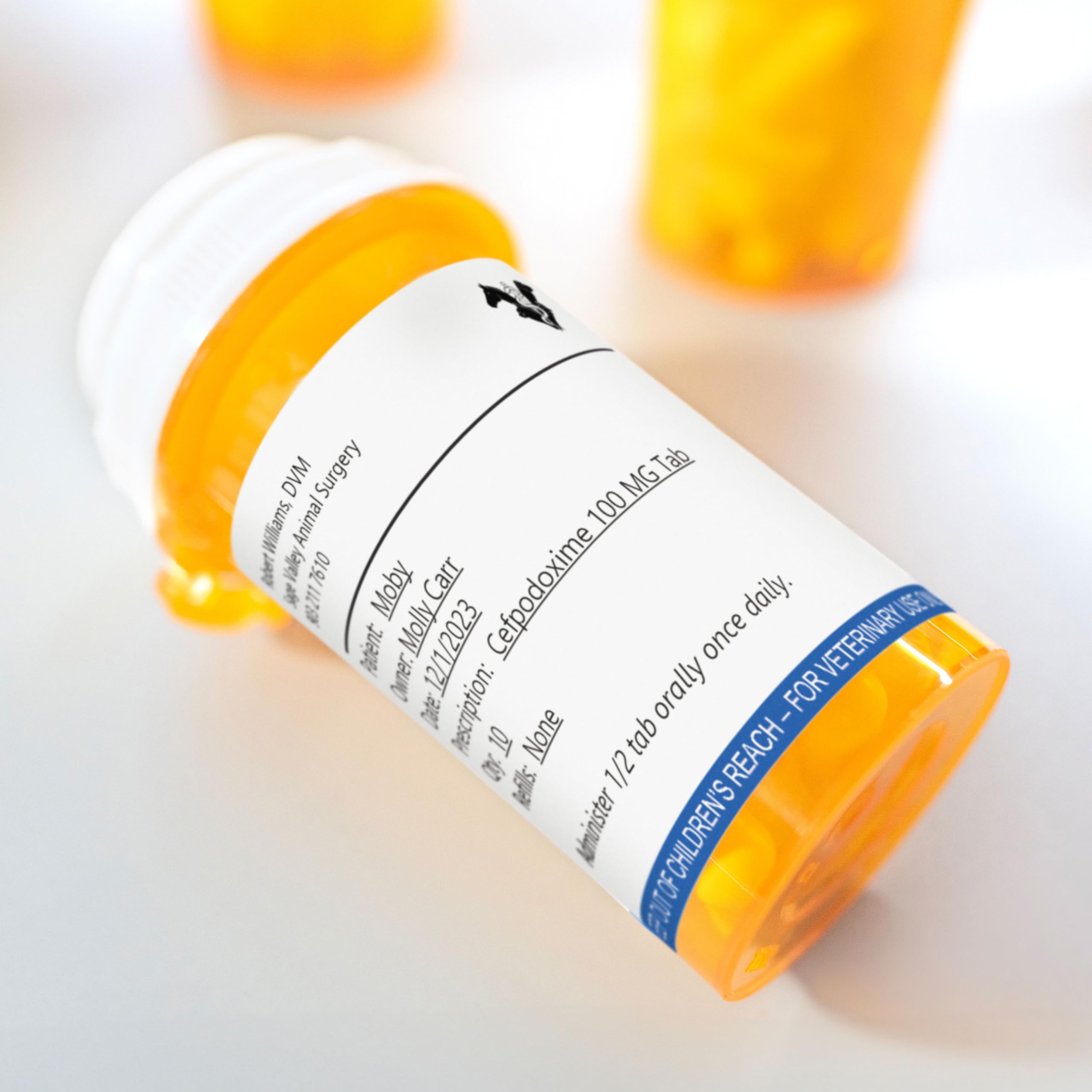 DYMO Étiquettes d’ordonnance vétérinaire LabelWriter | 54 mm x 70 mm | 2400 étiquettes
