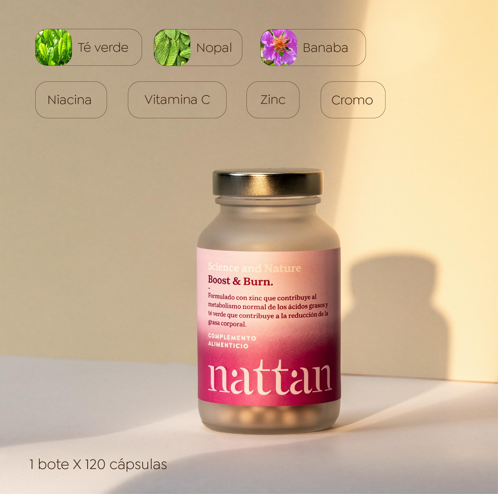 Nattan – Plan Boost & Burn – Rutina Dual de Infusión y Complemento, Apoyo al Metabolismo Energético con Zinc con Café Verde, Mate y Cola de Caballo – 120 Cápsulas y 60 Infusiones