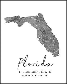 Florida State Map Wall Art Print - 8x10 Silhouette Decor Print with Coordinates. Makes a Great FL-Themed Gift. Shades of Grey, Black & White.