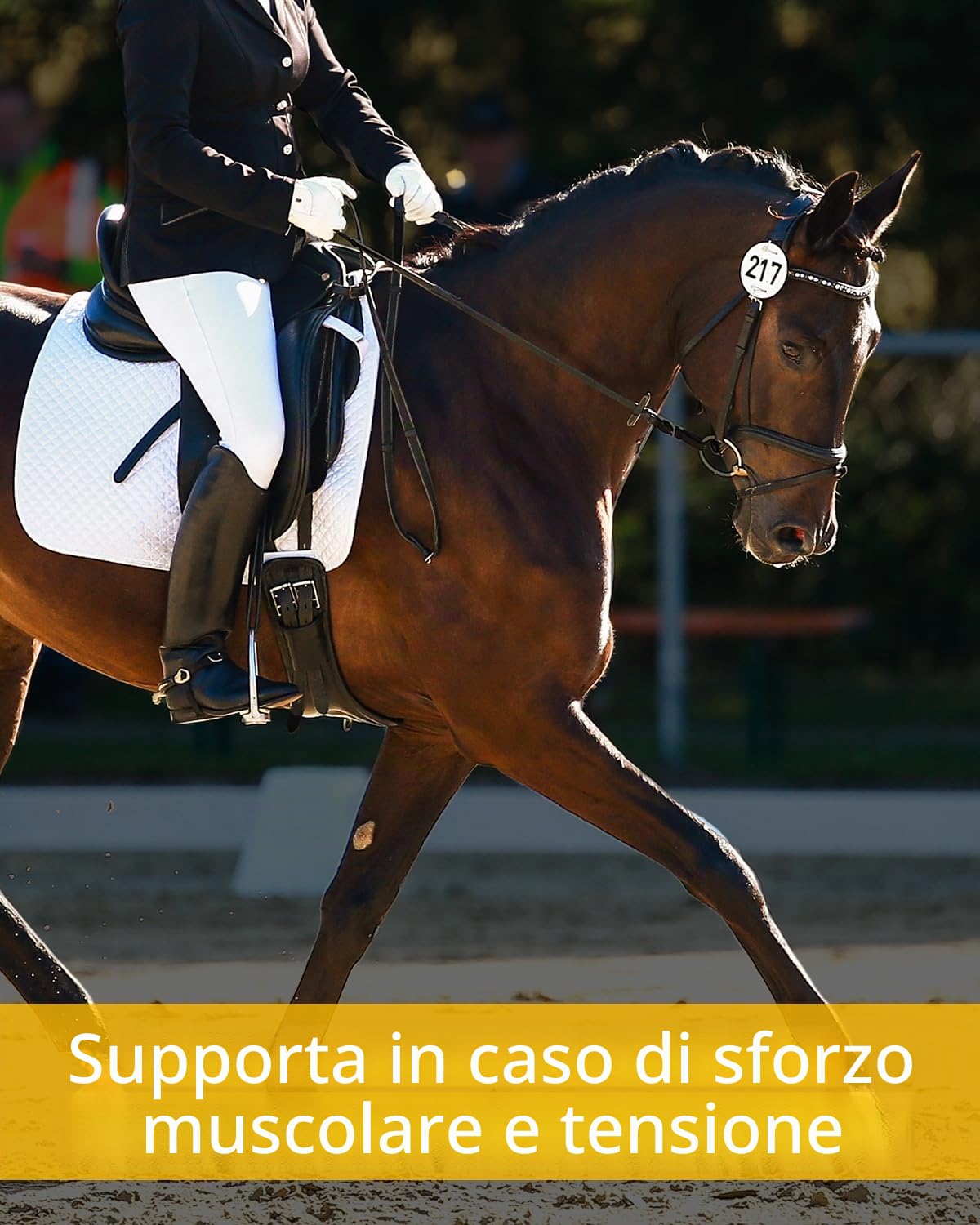 Equistro Excell E Powder 3 kg, complemento di mangime per cavalli