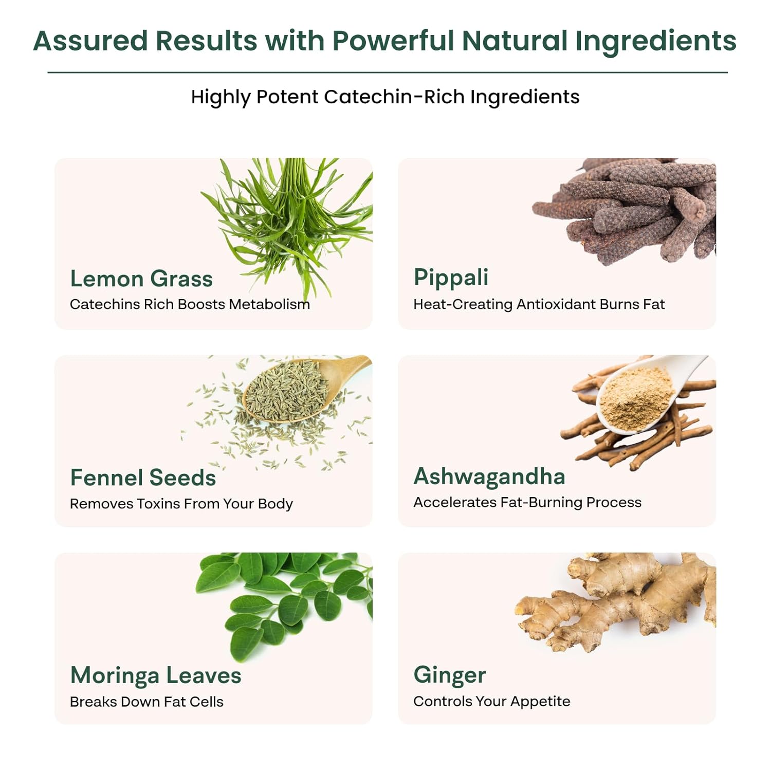 Buy Now Healofy Naturals Slimming Tea, Natural Fat Burn Formula, Vis... 4 Buy Now Healofy Naturals Slimming Tea, Natural Fat Burn Formula, Vis...