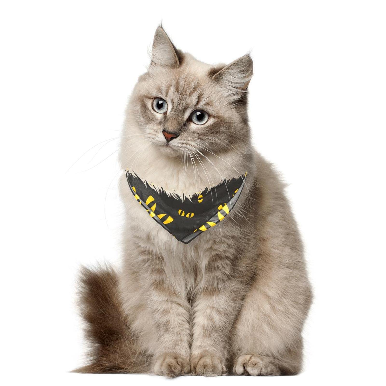 Süßes Halloween-Halstuch Für Hunde & Katzen – Leichtes Polyester, 65x45 Cm, Für Kleine Bis Mittelgroße Haustiere