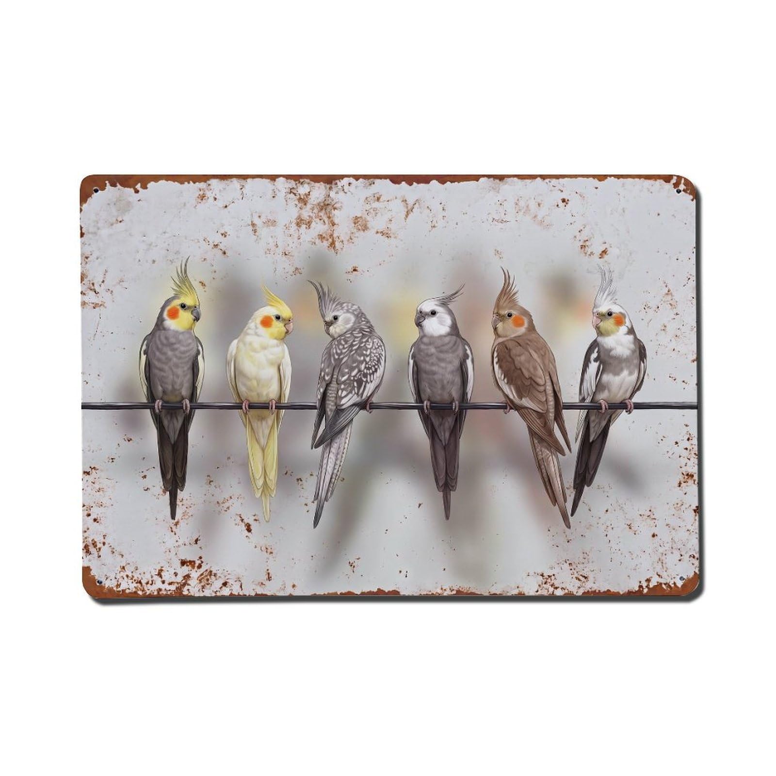 Vintage Retro Birds Cockatiel Metal Tin Sign
