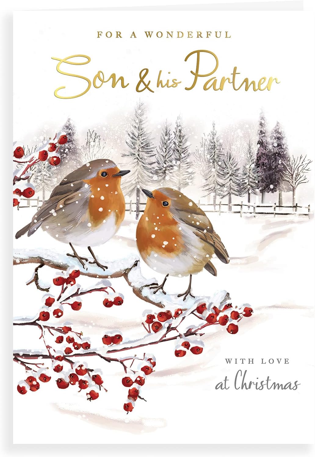 Paire De Feux Arrière Gauche Et Droit Pour Nissan Cabstar 2005-2013 - Modèle E4, Dimensions 340x120x80mm