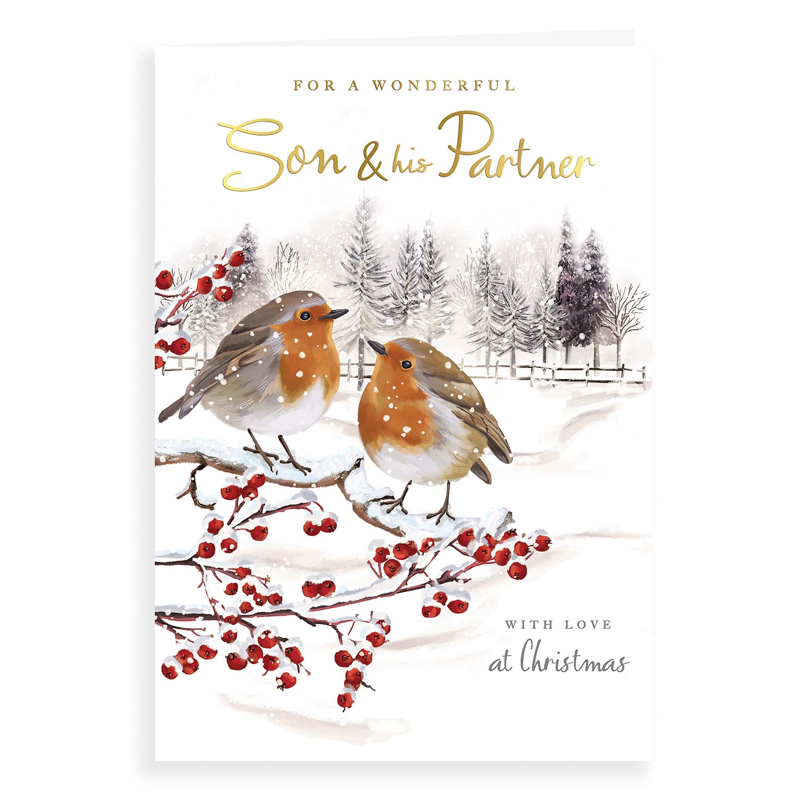 Regal Publishing Traditional Christmas Card Son & Family - 9 X 6 Inches, Multicoloured, C85458