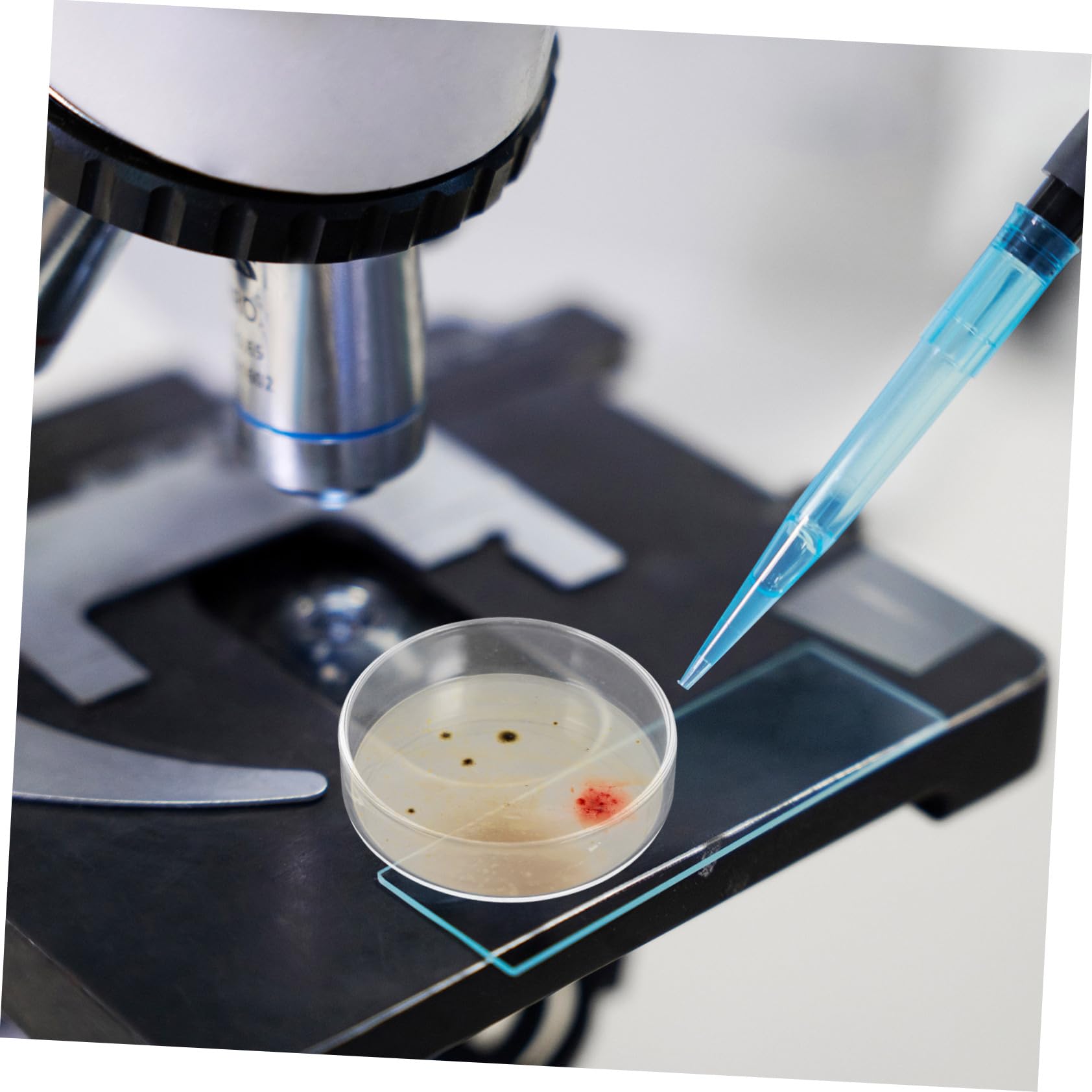 GLEAVI 10piezas Placa de Cultivo de Vidrio Placas de Petri de Agar Equipo para Experimento Microbiológico Crecimiento Nutriente Hongo Laboratorio Petri