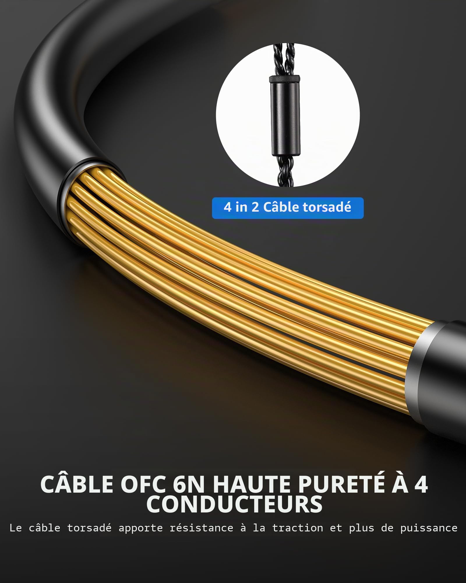 LEKATO H5 Casque Intra-auriculaire Écouteurs Hybrides HiFi IEM pour Musiciens Câble Détachable 2 Broches 1BA+1DD Écouteurs de Jeu Filaires Isolation Sonore Basse Profonde Professionnelle (sans Micro)