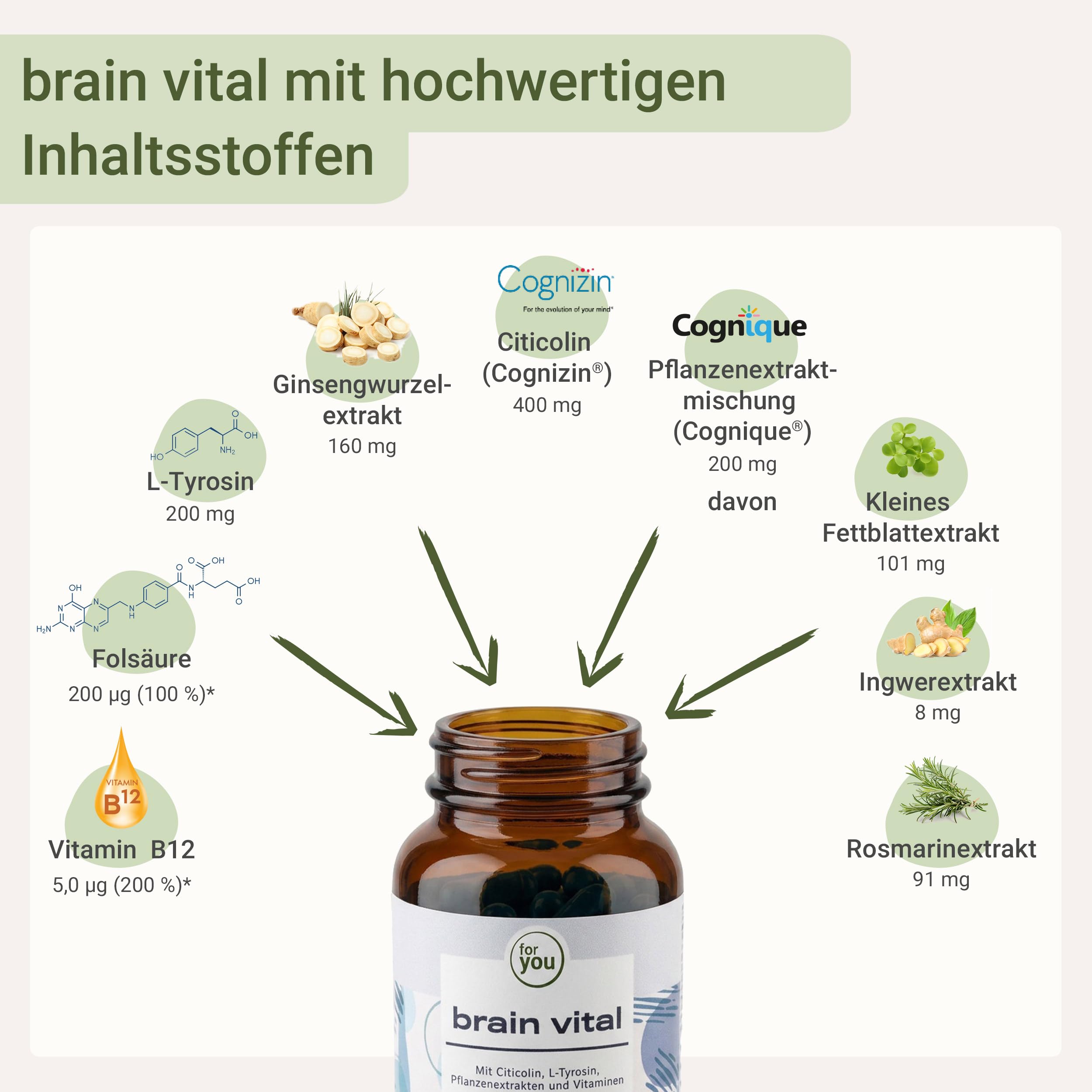 for you brain vital 60 Konzentrations Kapseln - Brain Booster mit Citicolin (Cognizin®), Cognigue® - Sekundäre Pflanzenstoffe & Ginseng - Vegan, ohne Zusatzstoffe - ohne Koffein für mehr Focus