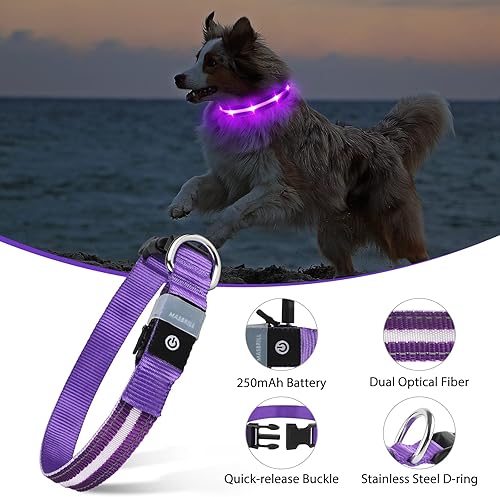 Miniatura 4 de MASBRILL Collar de perro con luz LED, collar de perro recargable con luz resistente al agua, collar de perro iluminado intermitente brillante para