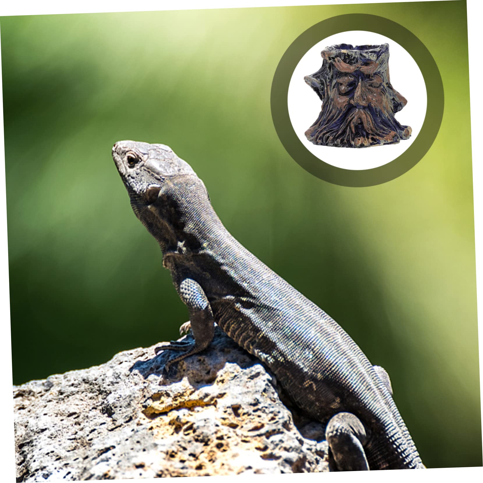 Cuenco de agua para reptiles Cuenco for alimentación de reptiles, 8 piezas, cuenco for reptiles, cuenco for baño de pájaros for mascotas, comedero for reptiles, plato de alimentación for reptiles, cue